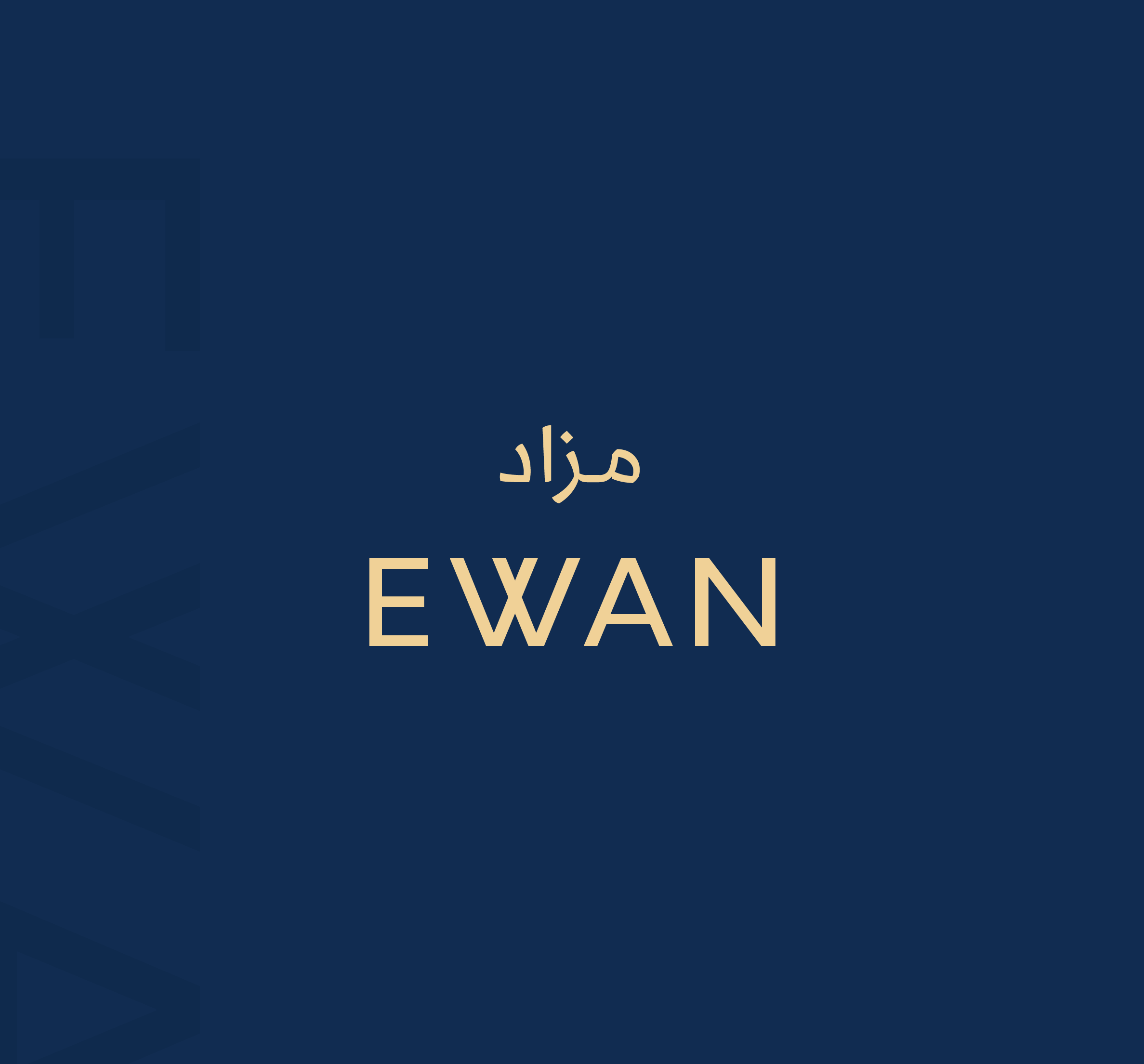 cover web site المزادات -08